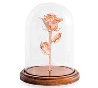 Forever Rose Enchanted Rose Genuine One of a Kind Beauty and The Beast Rose Hand Dipped in Rose Gold & Preserved in Glass Dome Assembled by Hand in Th