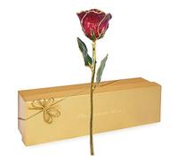 Forever Rose Rosa roja rubí de edición limitada de 24 quilates, la piedra natal de julio, una rosa real única y eterna sumergida a mano en oro de 24 quilates, de 11 a 12 pulgadas