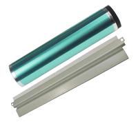 ForgediY 50 Unidades compatibles con Suministros de Impresora CLT R406 Unidad de Limpieza de Tambor para número de Pieza CLP 360 365 368 CLX 3300 3305 SL C410 C430 C460 C480 362 363 364 178 150