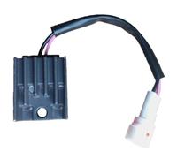 ForgediY Rectificador regulador de Voltaje Compatible con KLX300R KFX250 KSF250 KDX220R KDX220