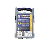 Forgefix - Organizador de tornillos de madera FORFFP1000Y Forgefast Pozi compatible con Elite Performance, color plateado, plateado, FORFFP1000Y
