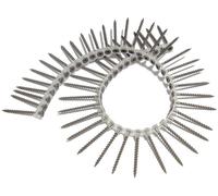 ForgeFix Tornillos para Placa de Yeso Encolados, Cabeza Avellanada Phillips, S3