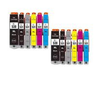 Forgekael Juego de Cartuchos de Tinta compatibles TS8750 TS8751 - Reemplaza PGI-530 CLI-531 PGI530 CLI531 530XL 531XL(2 Set 12PCS)