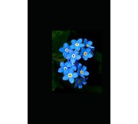 Forget Me Nots: A story of devotion, hope, and the power of creating a family against all odds.