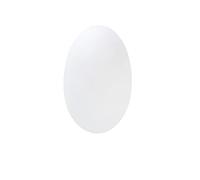FORLIGHT Aplique Ip20 Glass 235Mm E27 60W Blanco