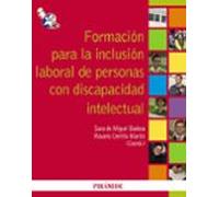 Formacion Para La Inclusion Laboral De Personas Con Discapacidad Intel