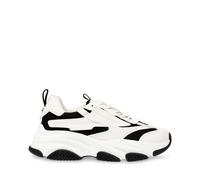 Formadores Steve Madden Possess 43