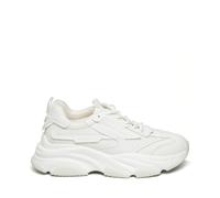Formadores Steve Madden Possess 46