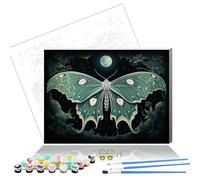 Formeyart Libélula Pintura por números Adultos con Marco, Pintura por Numbers Adultos, Diy Pintura por Números Pequeño Juego Pintado a Mano Creativo Juego de Manualidades para Regalo Decoración del