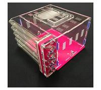 Formicario de Hormigas, Hormiga acrílica de Bricolaje. con alimentación 5 Tubos ensayo. Área Multicolor(Pink)