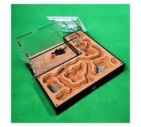 Formicario de Hormigas, Hormiga Acrílico Yeso. Nido De Hormigas con Alimentación. Área Caja de presentación Taller Castillo Insectos(A)