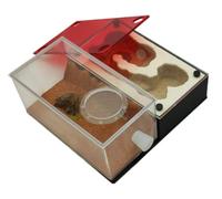 Formicario de Hormigas, Hormiga. Nido Acrílico Vidrio Yeso 3D Plano Multicolor(A)