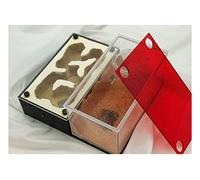 Formicario de Hormigas, Hormiga. Nido Acrílico Vidrio Yeso 3D Plano Multicolor(B)