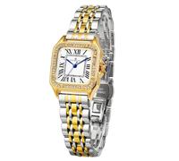 FORSINING Relojes cuadrados clásicos para mujer con detalles de cristal y acero inoxidable, números romanos, reloj de vestir casual para mujer, Dorado, plateado