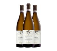 Fortant de France Terroir d'Altitude Chardonnay Vin de Pays d'Oc 75 cl Vino blanco (Caja de 3 Botellas de 75 cl)