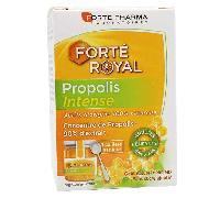 Forté Pharma Forté Propóleo Real Intenso 40g