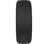 Fortuna - Neumático de invierno 255/40 R 20 XL TL 101V GOWIN UHP3 BSW M+S 3PMSF