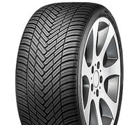FORTUNA Neumáticos para todo el año 225/50 R 18 XL TL 99W ECOPLUS2 4S BSW M+S 3PMSF para todo tipo de clima