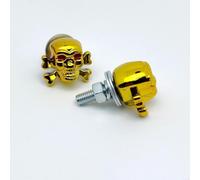 FortunateSweet Tornillos de matrícula con rosca M6 con hueso decorativo, juego de accesorios para coche, motocicleta, cierres resistentes a la corrosión en varios colores (dorado)