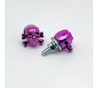 FortunateSweet Tornillos de matrícula con rosca M6 con hueso decorativo, juego de accesorios para coche, motocicleta, cierres resistentes a la corrosión en varios colores (morado)