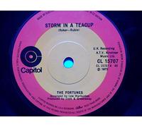 Fortunes, The - Storm In A Teacup - Fortunes 7" 45