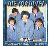 Fortunes - Youve Got Your Troubles