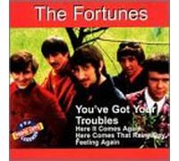 Fortunes - You've Got Your Troubles