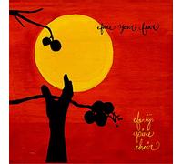 Forty Piece Choir - Face Your Fear (UK Import)