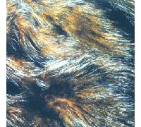 Forty Years to Find a Voice [Vinilo]