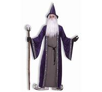 Forum Novelties - Disfraz de mago para hombre, Púrpura, Standard