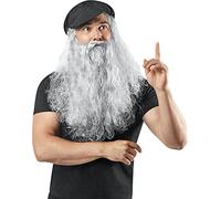 Forum Novelties Men's Leonardo Da Vinci Disguise Kit Adult Costume Hat, Multi Colored, One Size