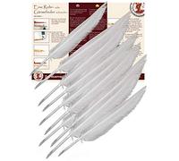 Forum Traiani Plumín para escribir 10 unidades, pluma de caligrafía, para recortar, caligrafía, juego de plumas, plumas, plumas de ganso