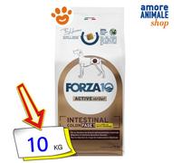 Forza10 Active VetDiet Intestinal Colon Fase 1 Cordero Y Sorgo Blanco 1,5/10 Kg