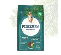 Forza10 Perro Maintenance Medium Adult Ciervo y Patatas - 12 kg