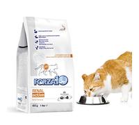 Forza10 - Dieta renal Active GR.454, para gatos