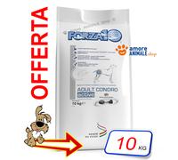 Forza10 Perro Activo→ Adult Condro - 10KG - Croquetas Para Perro, Comida Perros