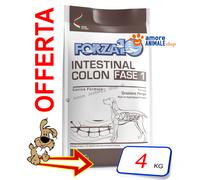 Forza10 Perro Activo → Intestinal Colon FASE 1 - 4 kg - Para Perro, Perros