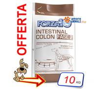 Forza10 Perro Activo→ Intestinal Colon Fase 2 - Funda De 10KG - Para Perro,