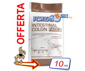 Forza10 Perro Activo→ Intestinal Colon Fase 2 - Funda De 10KG - Para Perro,