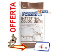 Forza10 Intestinal Colon Phase II - Pienso seco para Perros con inflamación de la mucosa gástrica