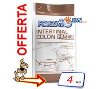 Forza10 Perro Activo→ Intestinal Colon Fase 2 - Funda De 4 KG - Para Perro,