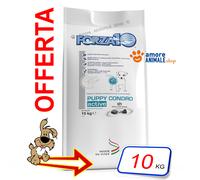 Forza10 Perro Activo→ Puppy Condro - 10KG - Croquetas Para Perro, Comida Perros
