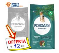 Forza10 Perro Maintenance→ Cervo Y Patatas - Medio 12 KG - Croquetas Perros