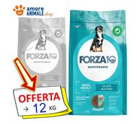 Forza10 Perro Maintenance Maxi Adult Con Pescado 12KG - Mantenimiento para