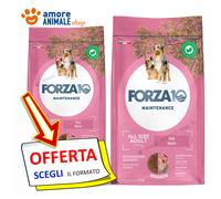 Forza10 Perro Maintenance Todas Size → Cerdo - 2/12 KG - Croquetas Perros, Perro