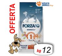 Forza10 Perro Monodiet→ Cavallo - Medio Adult - 12KG - Alimentos Para Perro,