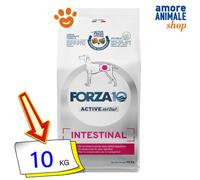 INTESTINAL Active 10 KG