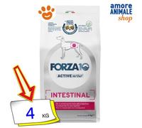 FORZA 10 INTESTINAL Active 4 KG.