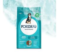 Forza10 Perro Maintenance Maxi Adult Pescado - 12 kg