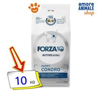 Forza10 Perro Activo→ Puppy Condro - 10KG - Croquetas Para Perro, Comida Perros